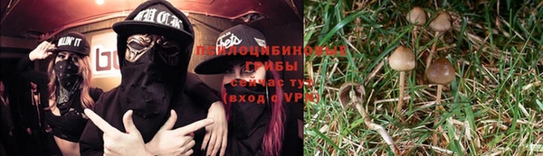 гашик Алексеевка