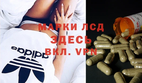 гашик Алексеевка