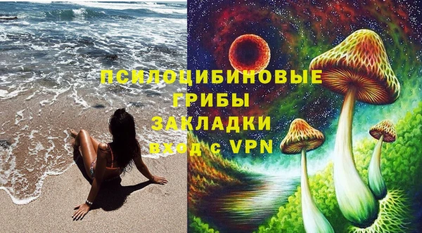 гашик Алексеевка